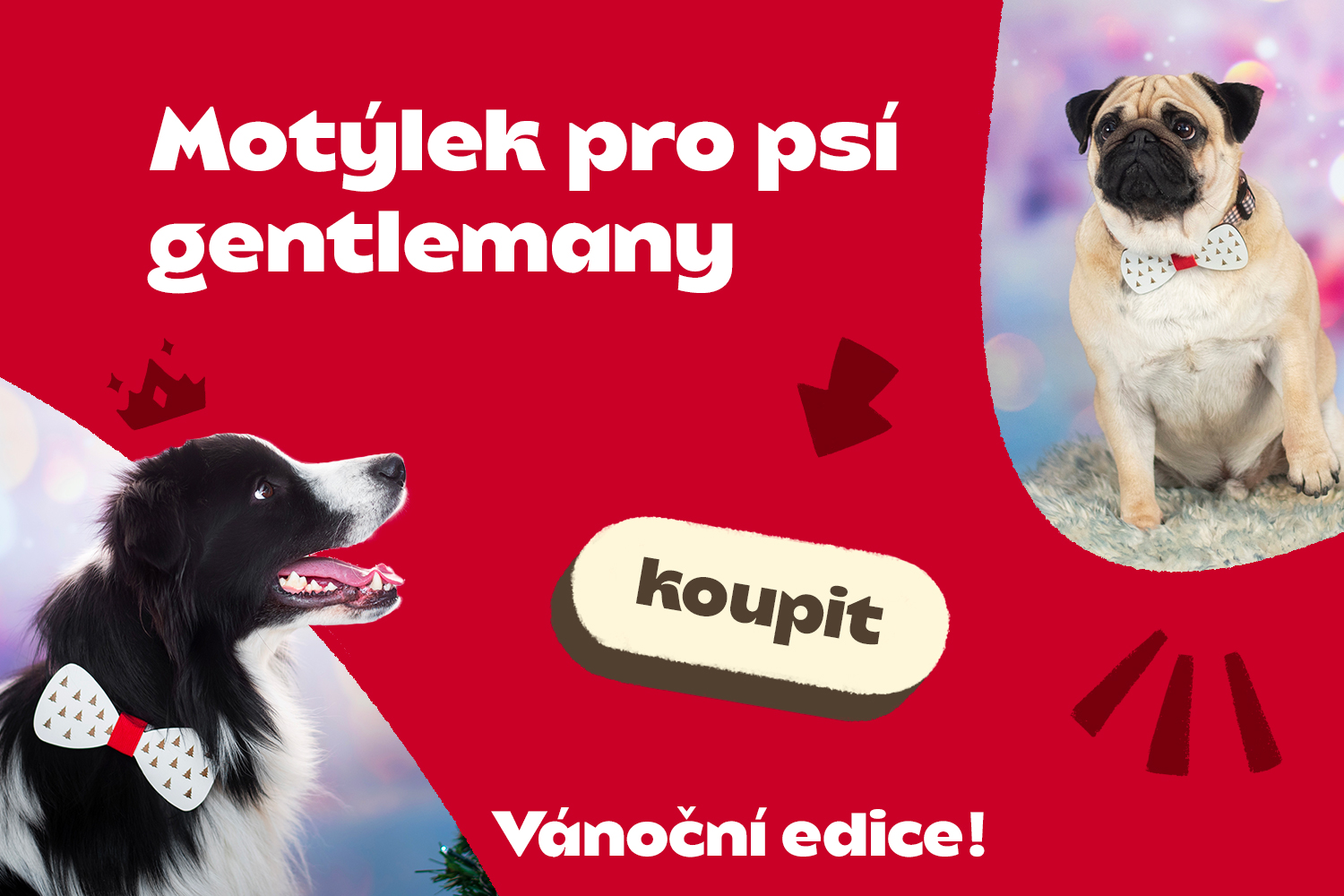 vanocni-motylci 2